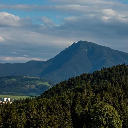 Hillside Panorama Apartment Dolny Kubin