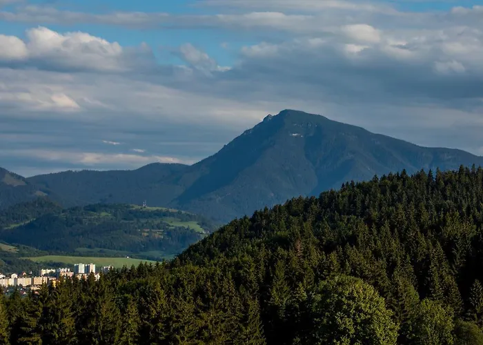 Hillside Panorama 아파트 돌니 쿠빈